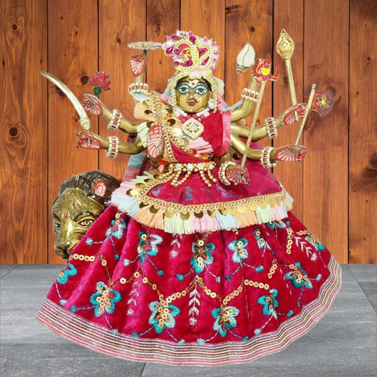 Durga ji Rani Sitara Lace Shaneel Dress