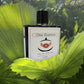 One Encence-100 ml |Long Lasting Perfume for Man and women| Ideal for Every Moment